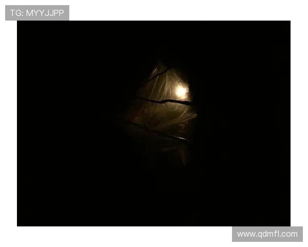 沉默的哨兵：举报者，照亮黑暗的微光